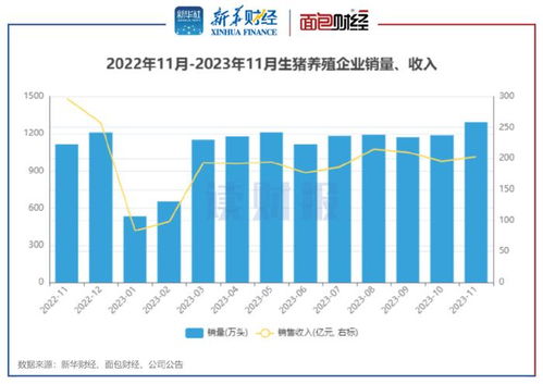 生豬養殖與醫藥零售雙線觀察 上市豬企11月銷量同比增16%，天邦食品領漲