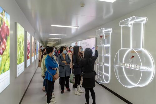 安琪紐特攜手中國營養學會，專業賦能藥品零售行業人才培養